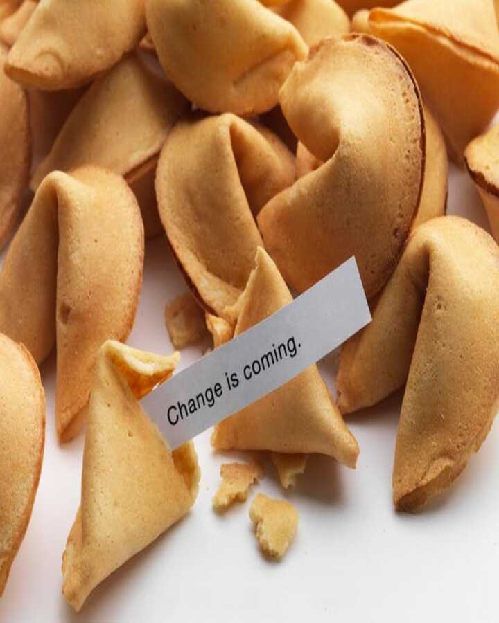 Fortune Cookie Destiny