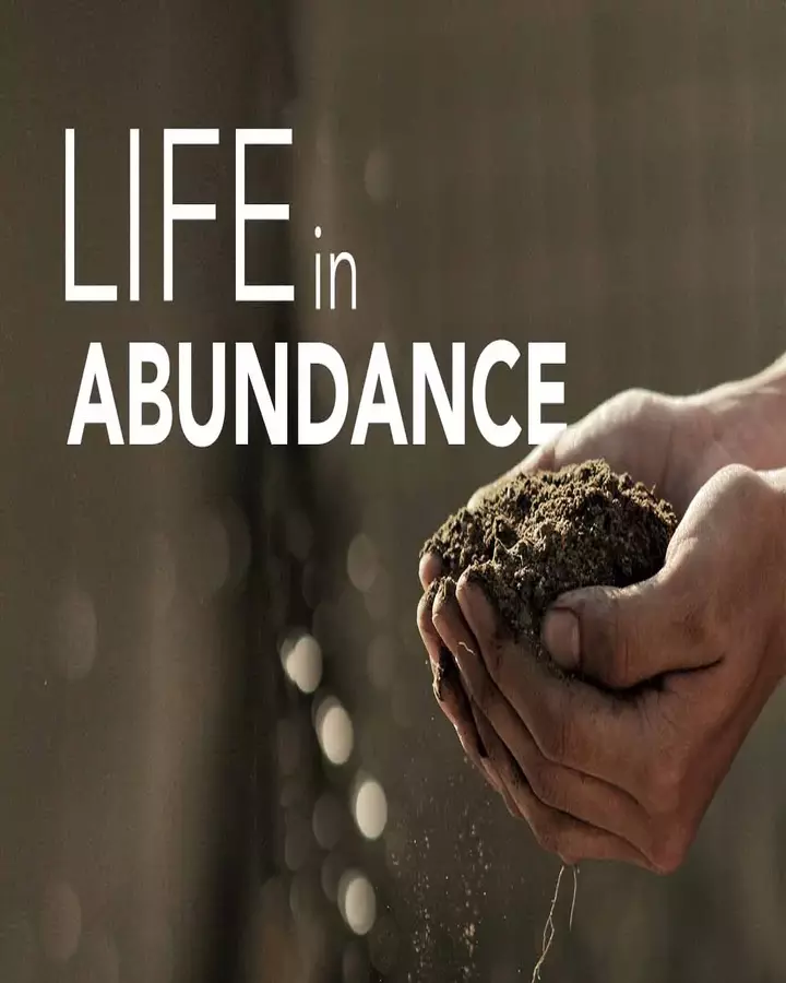 Abundance in Life